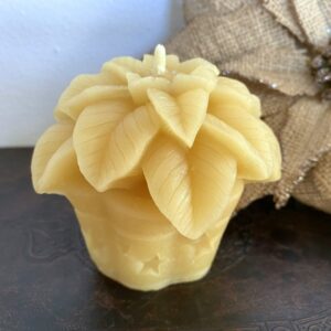 Beeswax Poinsettia Candle