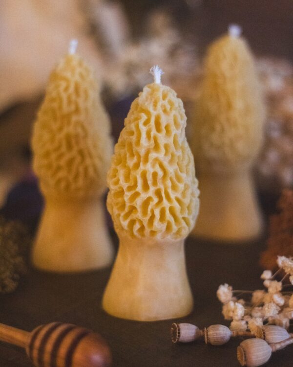 Mushroom Colored Candle Beeswax